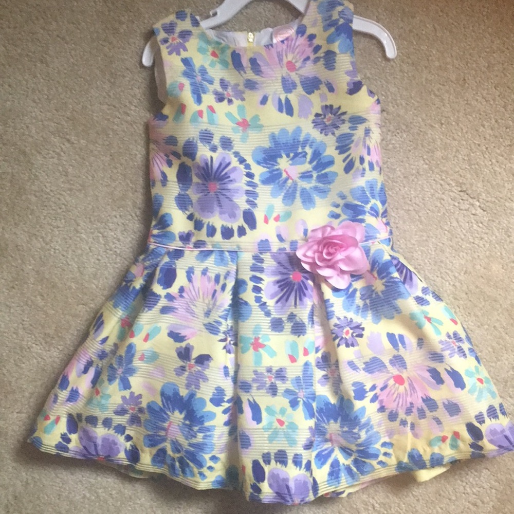 Perfect Condition Girls 5T Spring Floral Dress